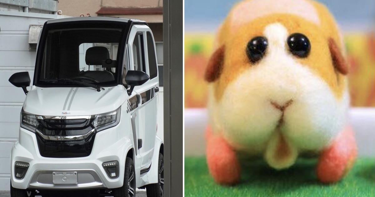 這可沒P圖！ 日本電動汽車「emo」奇妙設計讓網友笑稱 : 是天竺鼠車車！