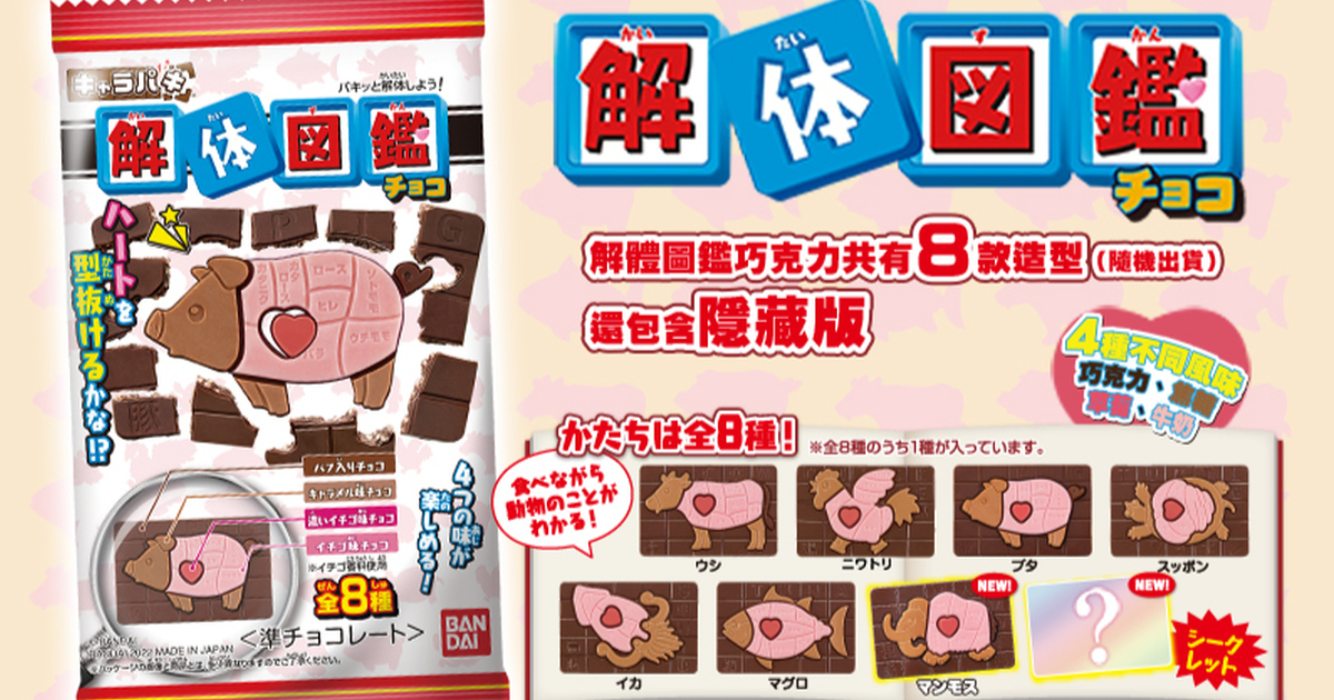 BANDAI CANDY超人氣「萬代 解體圖鑑巧克力」全新登場！兩件特價優惠限時展開