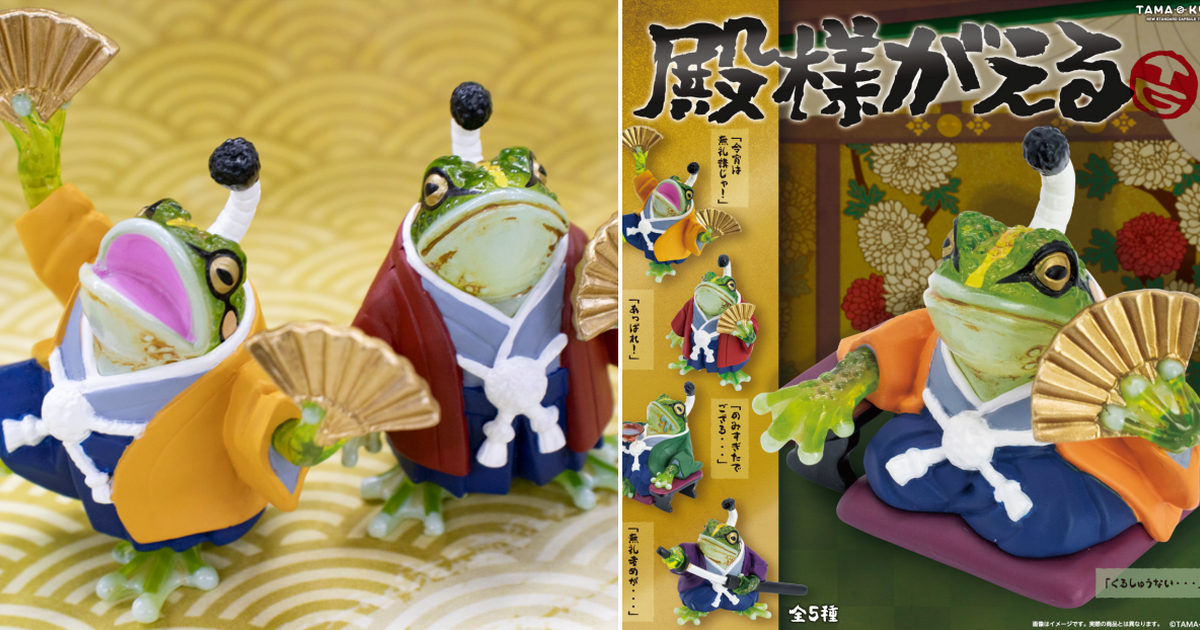 TAMA-KYU「主君大人青蛙」令和的領主霸氣登場呱呱！