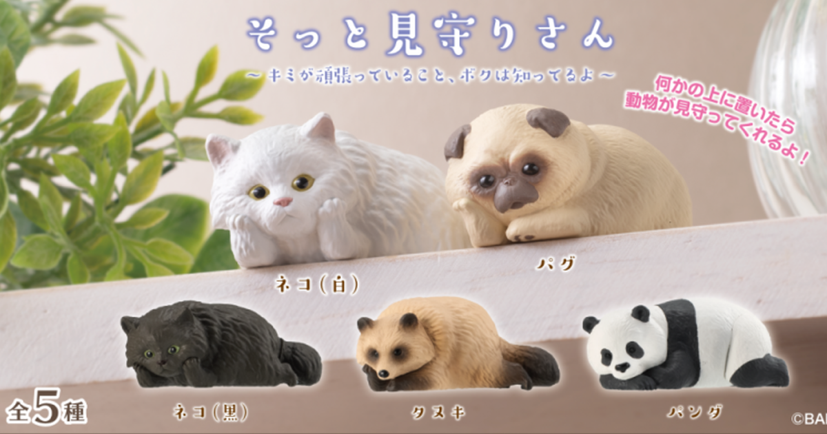我就靜靜看著你裝...GASHAPON可愛動物的「輕輕注視」轉蛋！