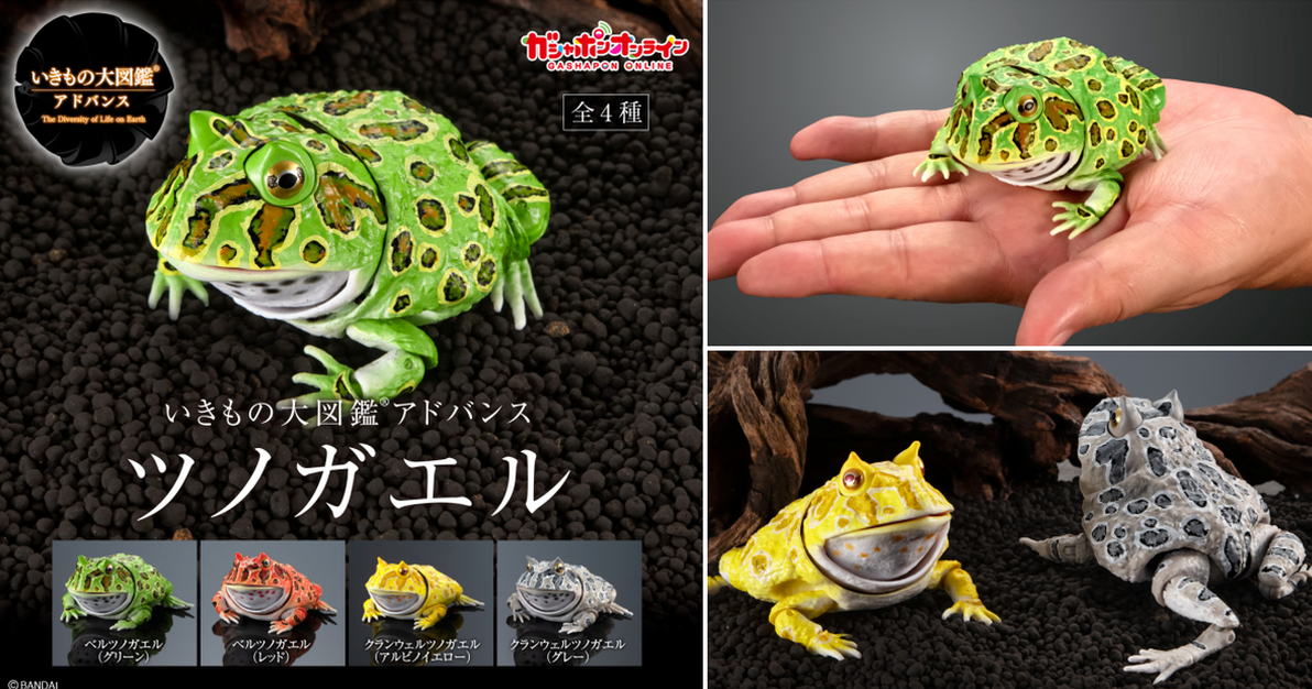 萬代「生物大圖鑑Ultimate 角蛙」轉蛋 18處可動關節、擬真再現胖胖可愛的造型！