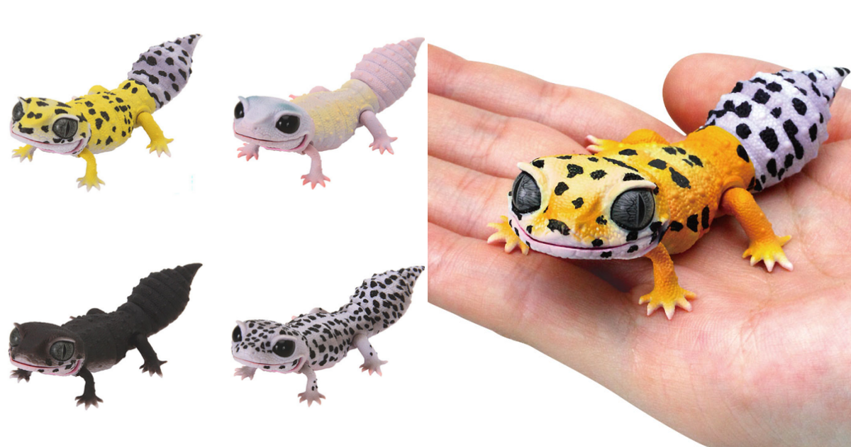 GASHAPON「生物大圖鑑Repti 豹紋守宮」轉蛋 超人氣萌寵簡化設計再登場！