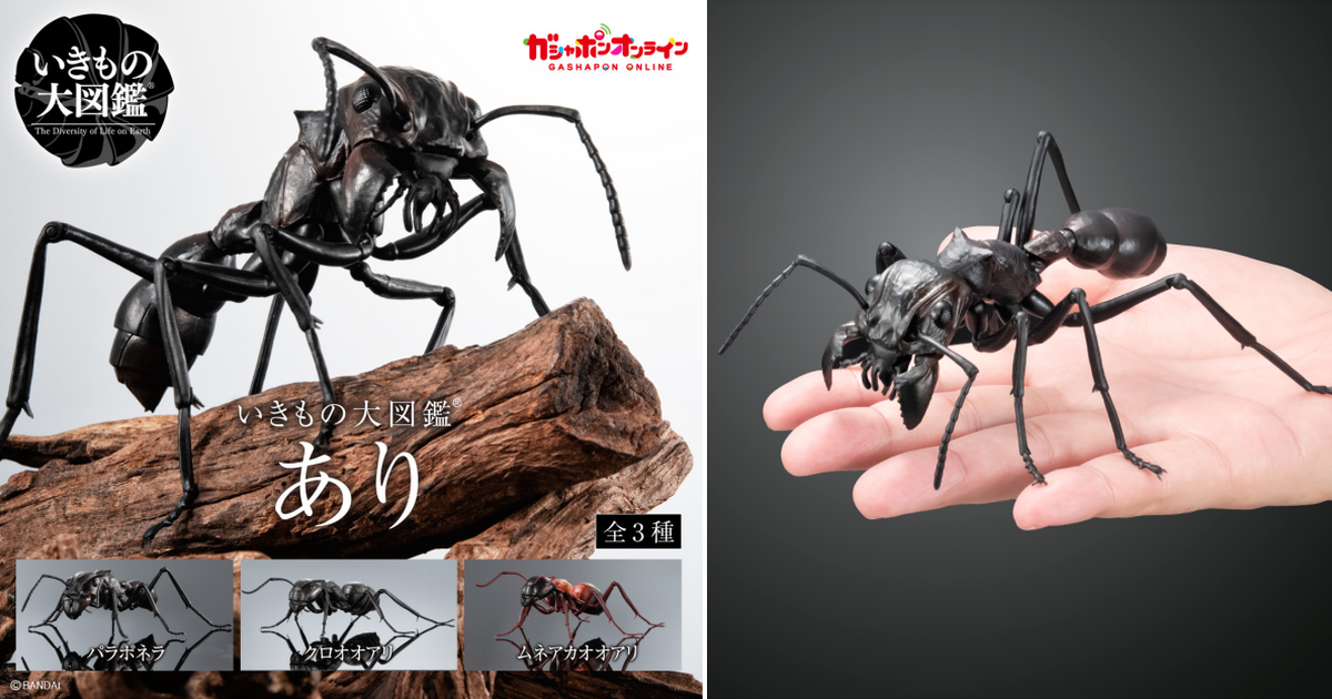 萬代「生物大圖鑑 螞蟻」12公分、26個可動關節再現昆蟲界最強子彈蟻！
