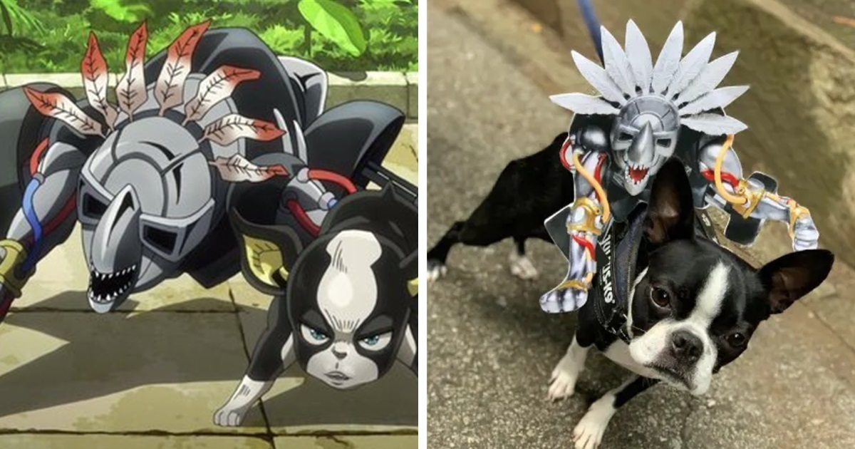 狗狗也能Cosplay！ 推主替自家毛孩扮成《JoJo的奇妙冒險》伊奇萌翻網友