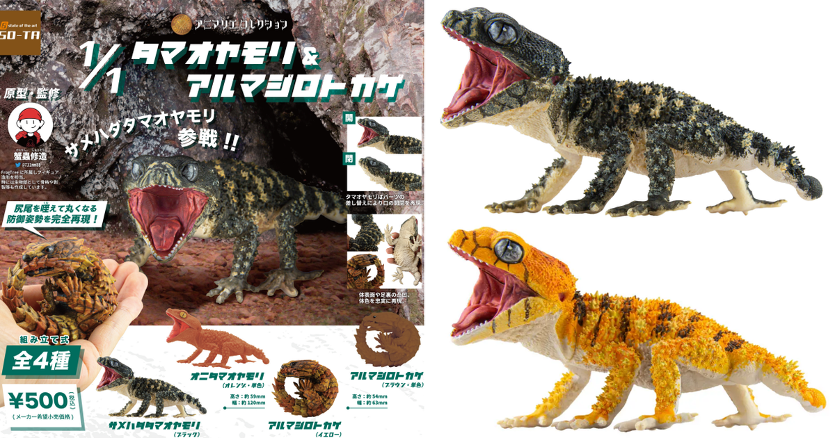 SO-TA 擬真生物系列「1/1 鬼玉尾守宮 ＆ 犰狳蜥」盒玩轉蛋 新配色棘皮瘤尾守宮再參戰！
