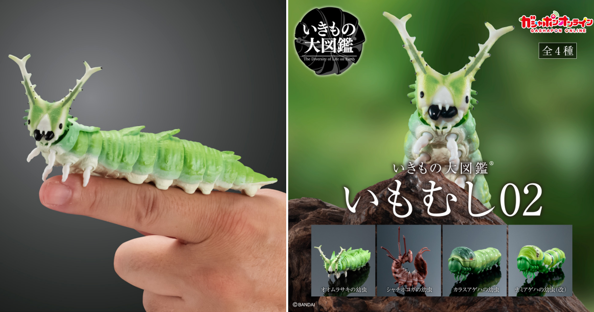 GASHAPON ONLINE「生物大圖鑑 毛毛蟲02」環保扭蛋 擬真再現大紫蛺蝶幼蟲、舟蛾幼蟲！