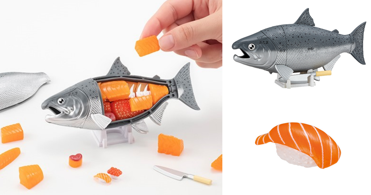 鮭魚長這樣？MEGAHOUSE「買一整尾！！帝王鮭解體拼圖」邊玩邊學還能做成握壽司