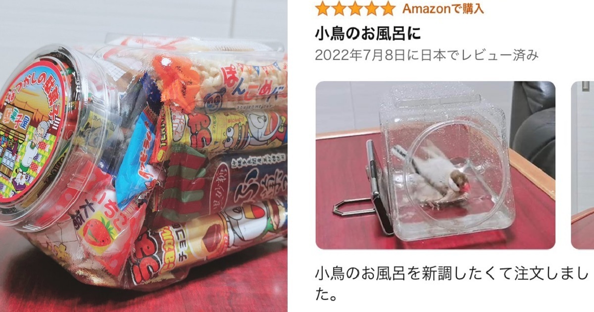 日網友在亞馬遜買「駄菓子」零食罐當文鳥小窩 留五星評價推薦大家買來給鳥兒使用
