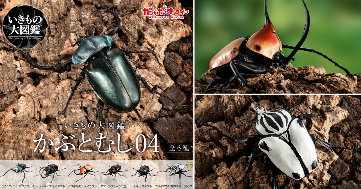 萬代「GASHAPON 生物大圖鑑 獨角仙04」轉蛋 收錄大角金龜、波特力豎角兜蟲！