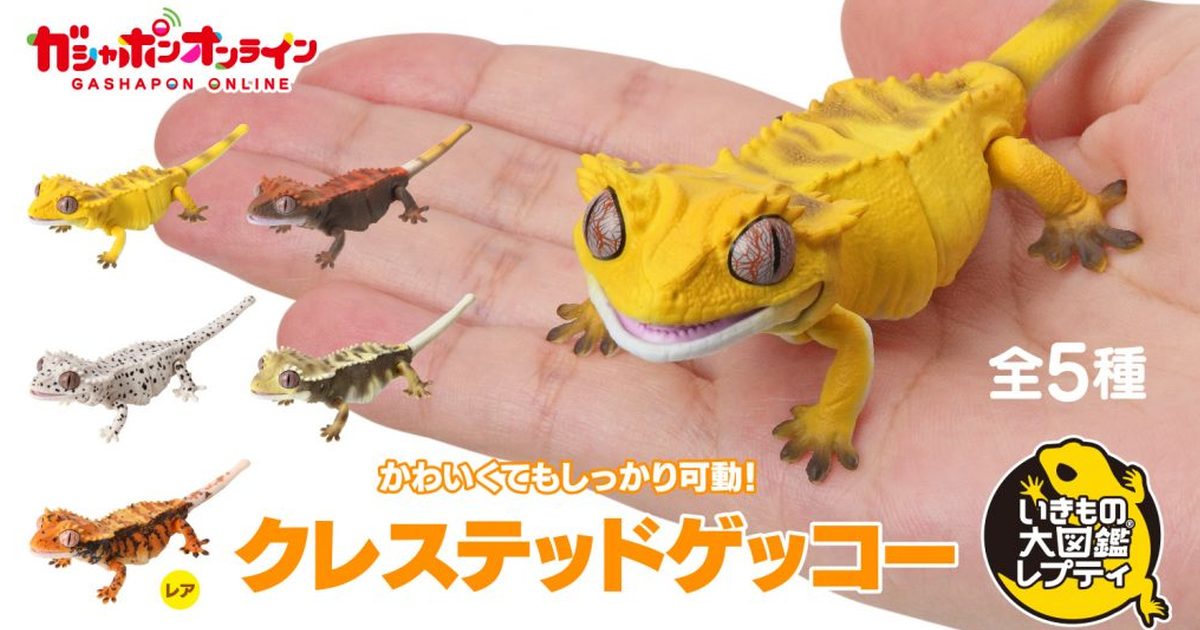 萬代GASHAPON「生物大圖鑑Repti 睫角守宮」環保轉蛋 簡化規格再登場！