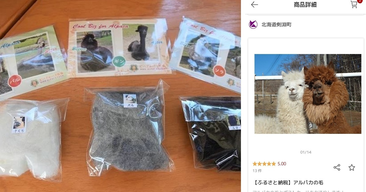日網友繳故鄉稅發現回禮有「羊駝的毛」  驚訝發現好評 : 原來這是有用的！
