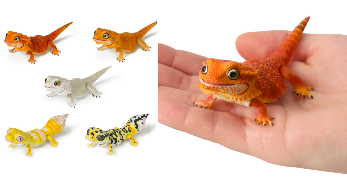 萬代GASHAPON「生物大圖鑑Repti 鬆獅蜥」環保轉蛋 呆萌眼睛太可愛啦！