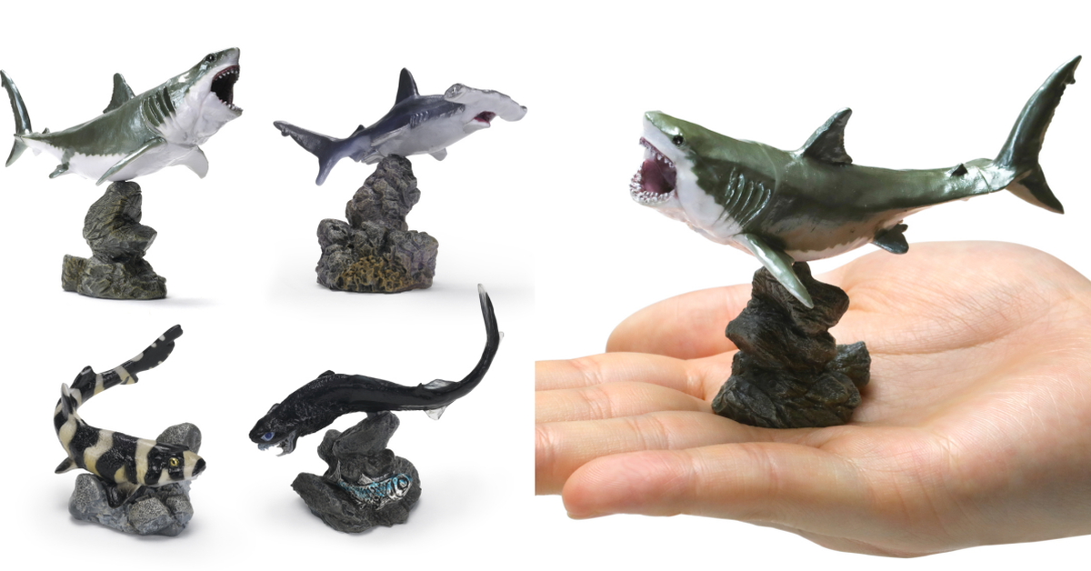 GASHAPON「生物大圖鑑迷你收藏 鯊魚」轉蛋 大白鯊、雙髻鯊小尺寸生動還原～