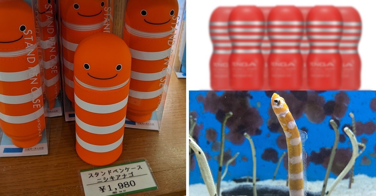 瑟瑟錯了嗎？ 推主到水族館看到「橫帶園鰻筆袋」起了糟糕想法 網友笑 : 想要這個！