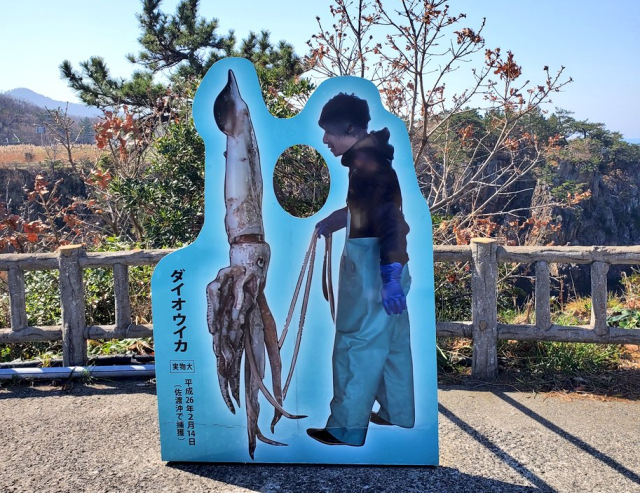 我是什麼...？推主分享尖閣灣揚島遊園的挖洞拍照看板，洞在烏賊和捕魚人中間是代表著什麼...？