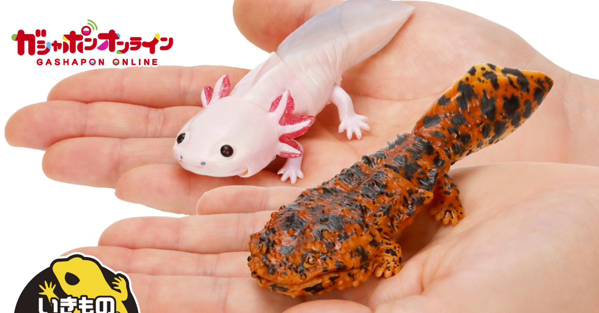 萬代GASHAPON「生物大圖鑑Repti 大山椒魚＆六角恐龍」環保轉蛋 日本國寶級動物來啦！