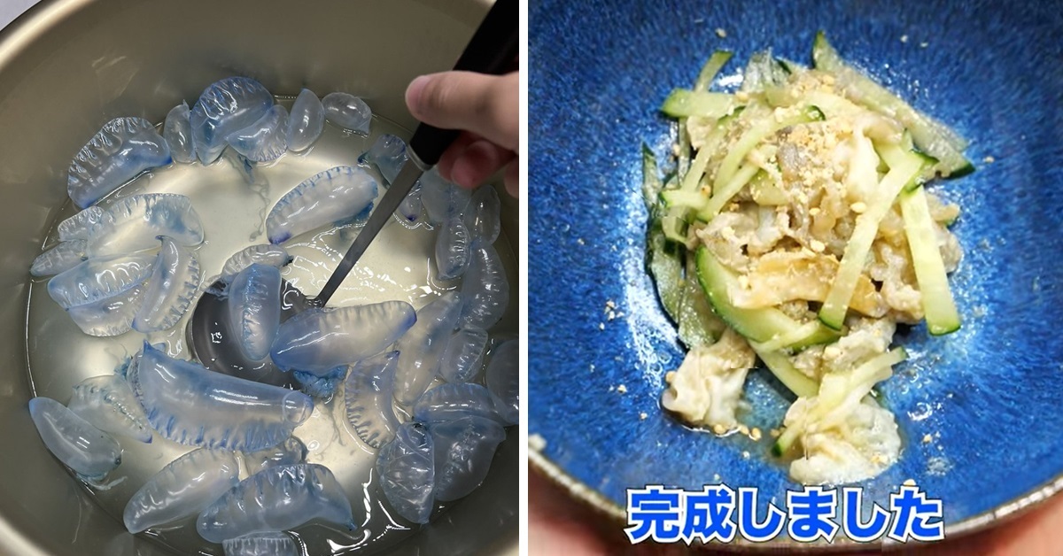 日本雜食YouTuber嚐「僧帽水母」談口味像扇貝  網友驚 : 這真的能吃嗎... 