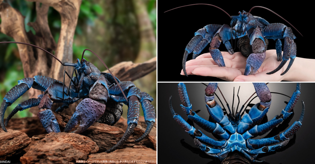 萬代「生物大圖鑑Ultimate 椰子蟹」線上轉蛋 60處可動關節、胸足展開達20公分 逼真還原！