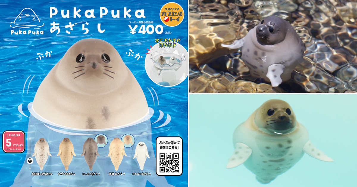 BENELIC『PukaPuka 海豹』轉蛋 皮下脂肪豐厚的胖胖身材 實現萌爆漂浮狀態！