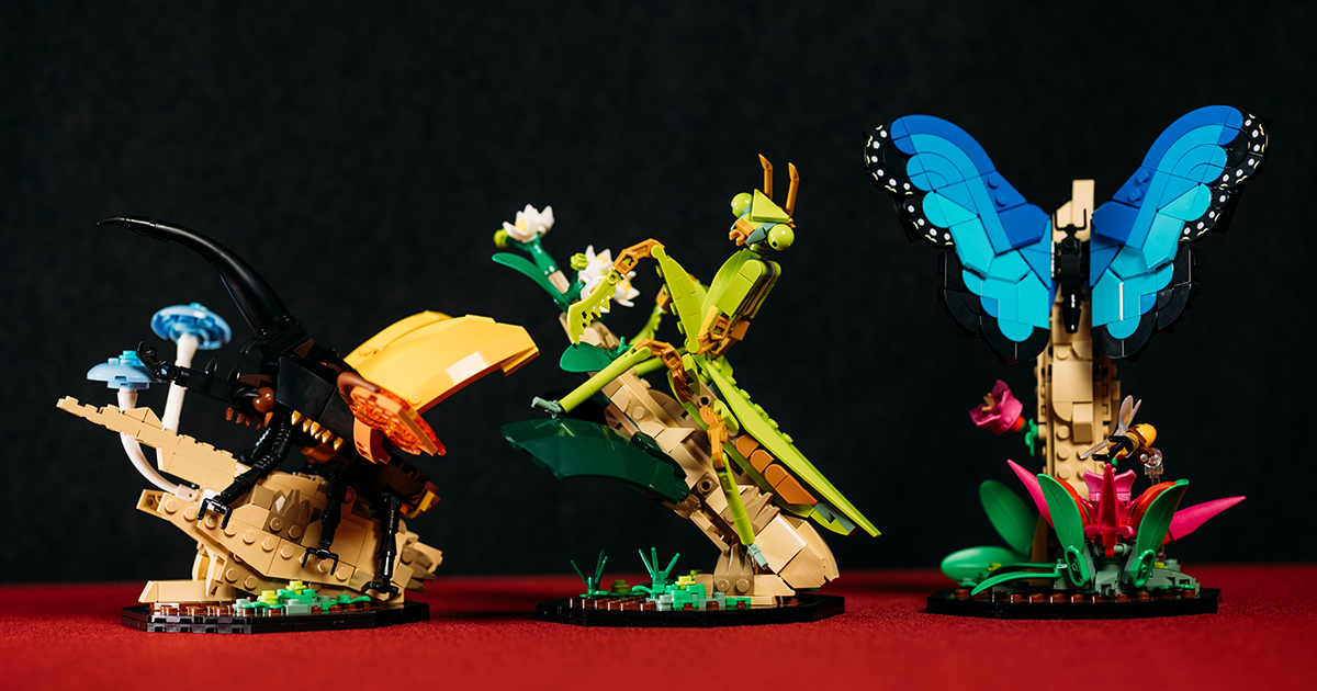 LEGO 21342 Ideas 系列「昆蟲集錦」開箱報告 超乎預期的逼真生物感＆大加分的棲息地展示底座！