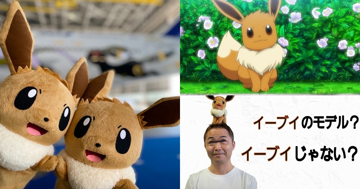 《寶可夢》的伊布到底是哪一種動物？ 貓&狗&狐狸還是兔子各成一派意外引起網友爭論