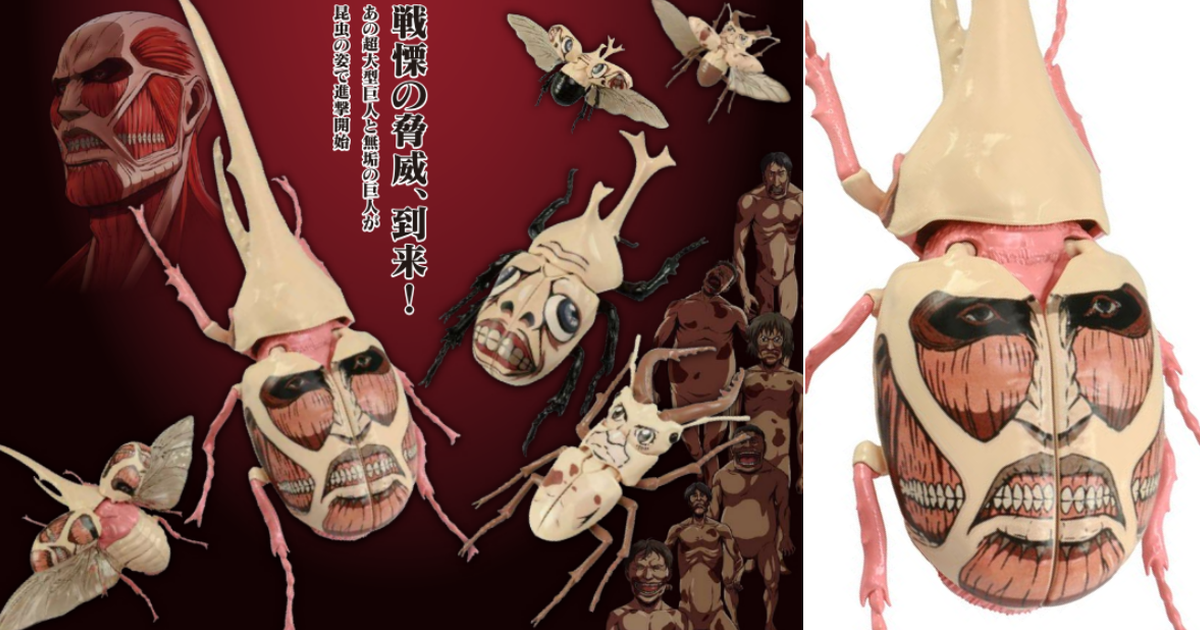 FUJIMI 自由研究系列『進擊的巨人編 赫克力士長戟大兜蟲 超大型巨人、無垢巨人獨角仙』戰慄襲來！