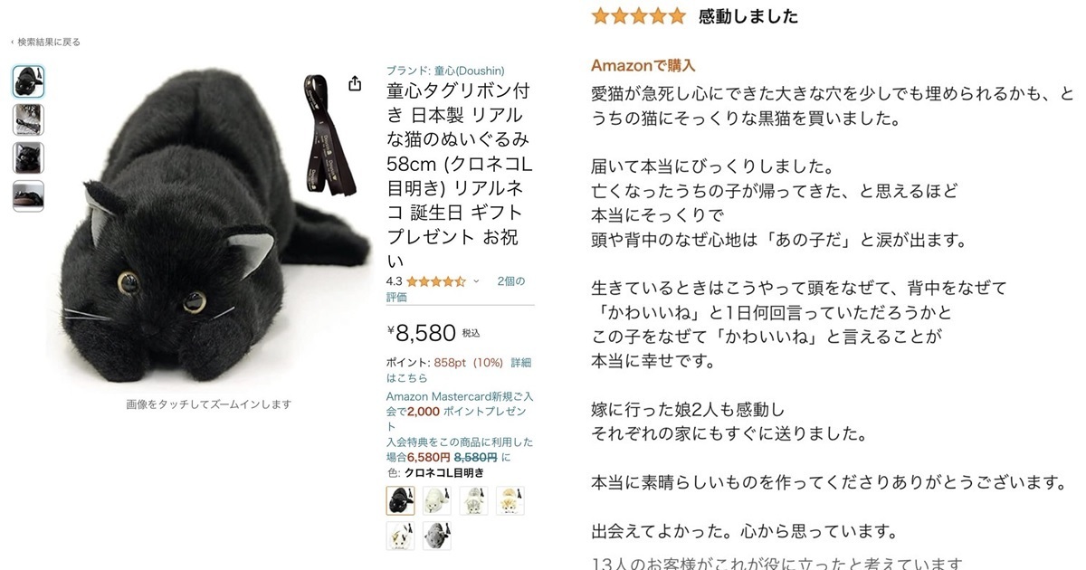 撫慰人心的存在！網購「黑貓絨毛娃娃」評價出現「找到我過世的貓咪」賺網友熱淚