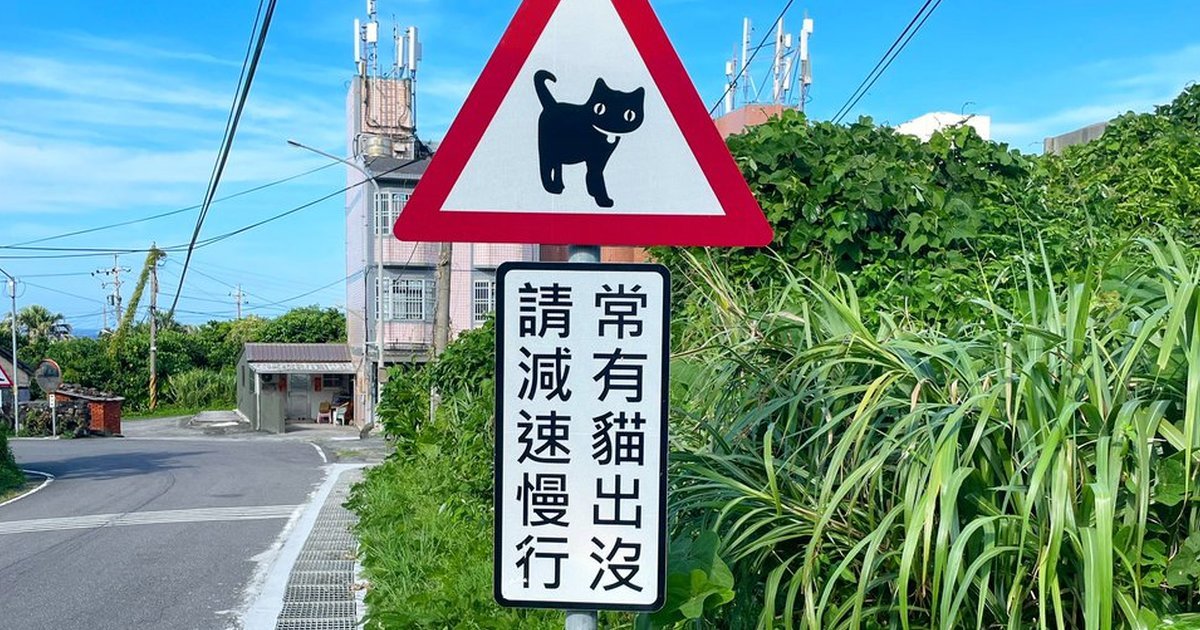 台灣的「常有貓出沒」交通告示牌引日網友熱議  大讚 : 看到就減速還想做成衣服！