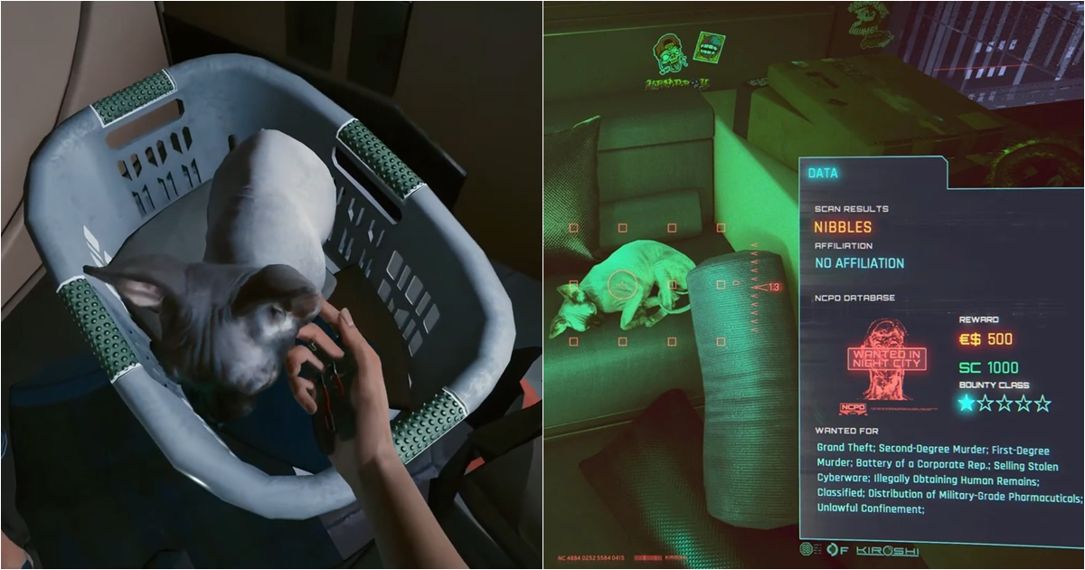 還記得《電馭叛客2077》裡面那隻無毛貓「小齧」嗎？玩家意外發現牠居然是夜城一星罪犯？！