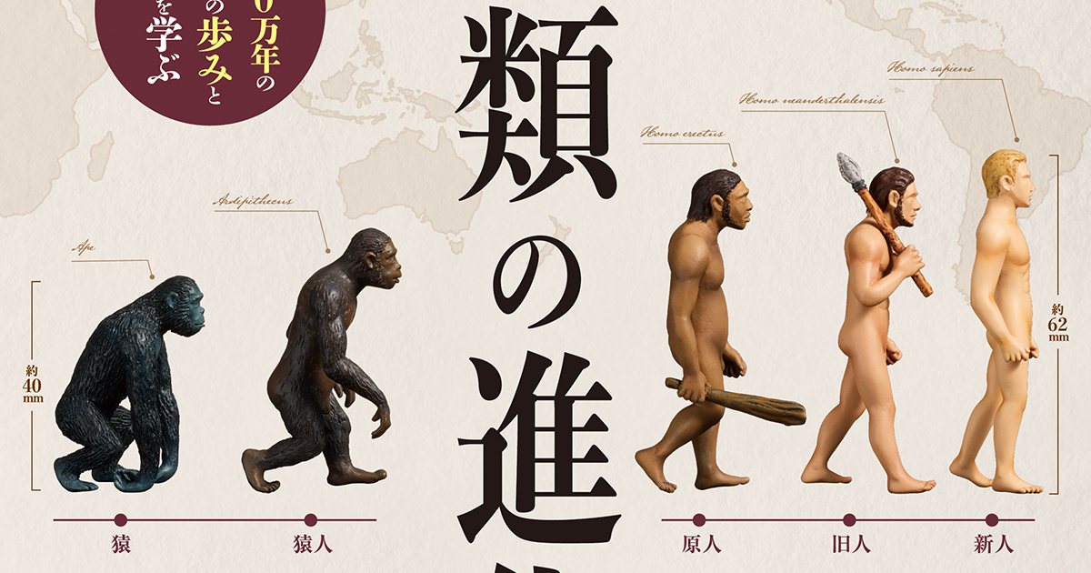 TAMA-KYU「人類的演化」轉蛋 打著學習轉蛋玩具之名，行逼你買整套之實！（人類の進化）