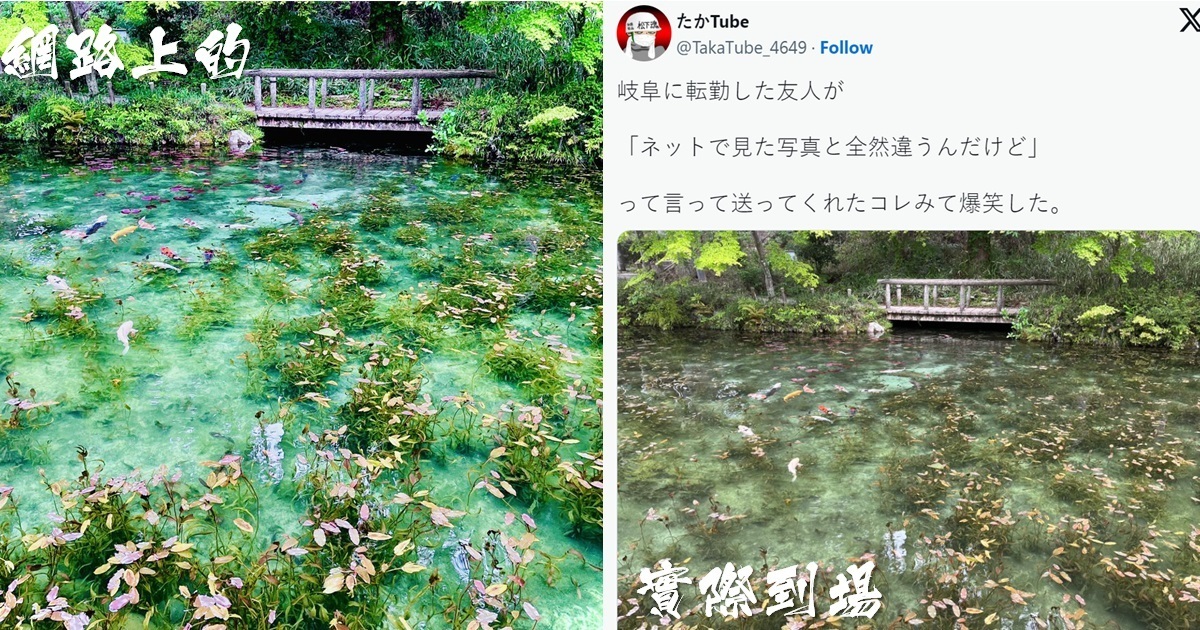 岐阜縣爆紅地標「莫內池塘」引人朝聖現實卻落差過大  網友笑 : 這已變修圖聖地了...