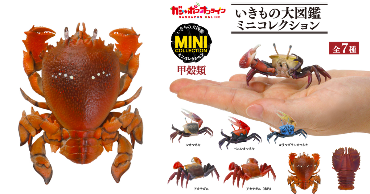 GASHAPON『生物大圖鑑迷你收藏 甲殼類』轉蛋 收錄招潮蟹、旭蟹、蝦蛄拍仔！