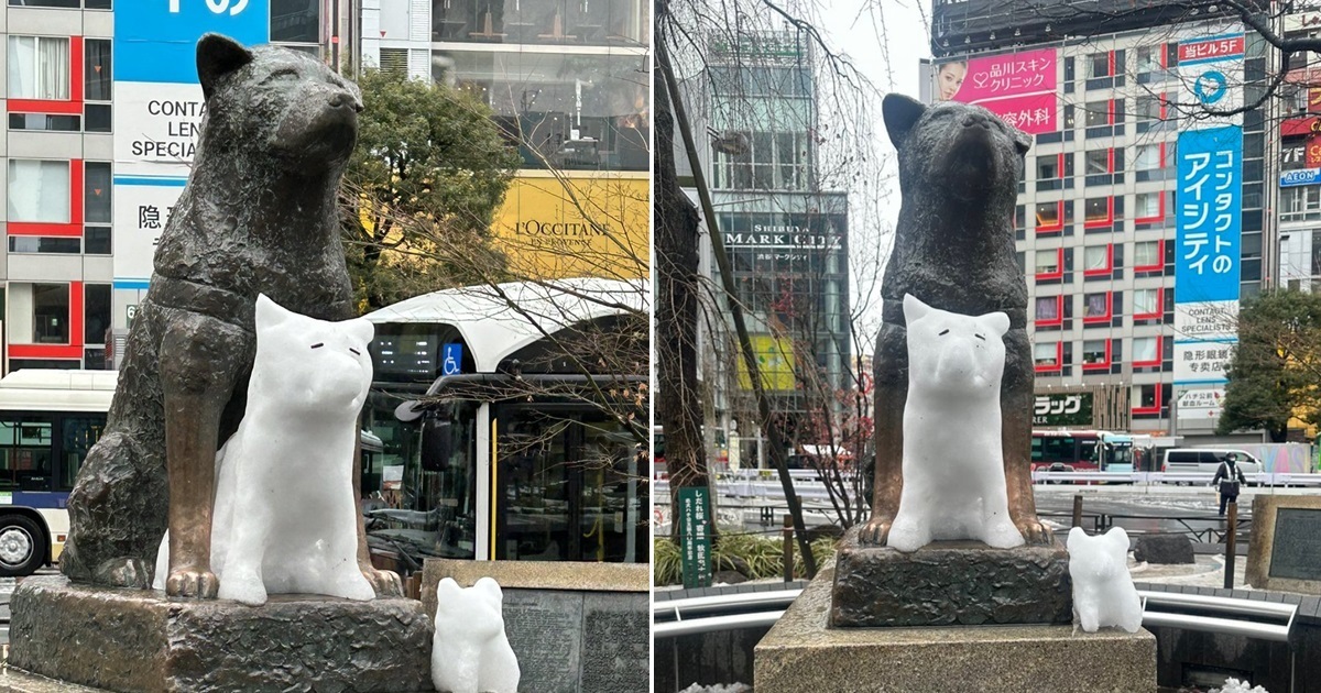 東京大雪不要緊！ 澀谷「忠犬八公」有善心人替他生出夥伴陪伴博得網友讚賞