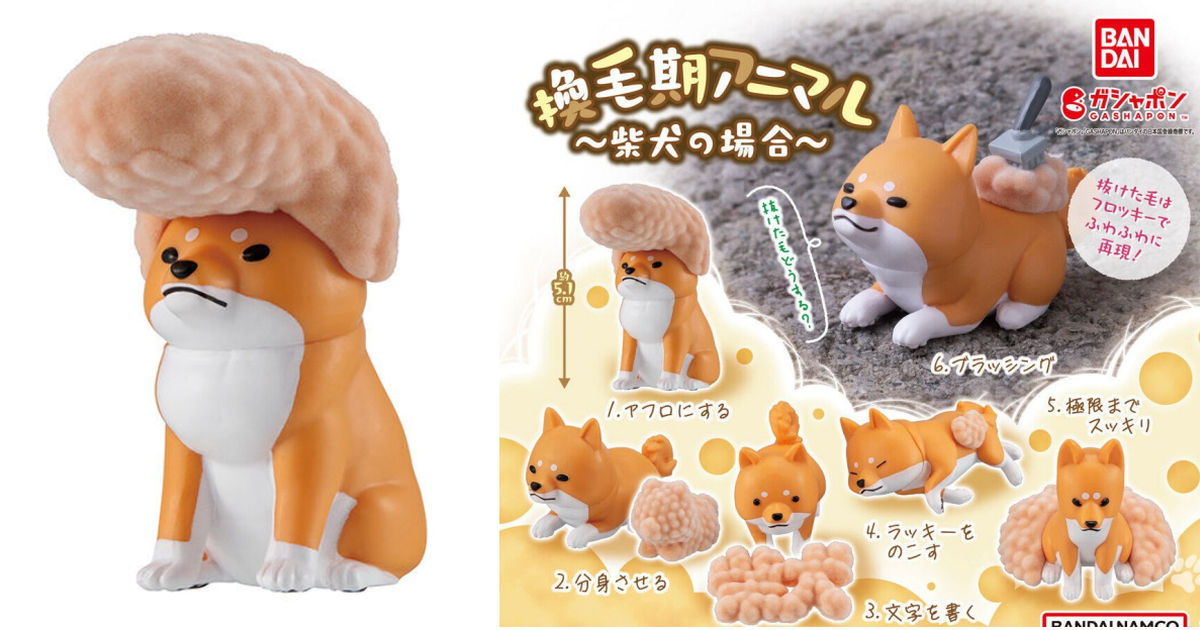 GASHAPON『換毛期動物 ～柴犬～』轉蛋 讓毛爸媽最崩潰的掉毛量 搞笑重現！