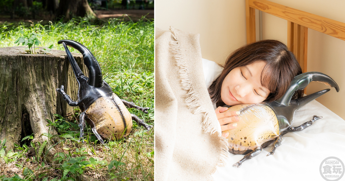萬代食玩『生物探險隊～蟲篇二〇二四～』超過50公分的大兜蟲、瓢蟲充氣玩具巨無霸再登場！