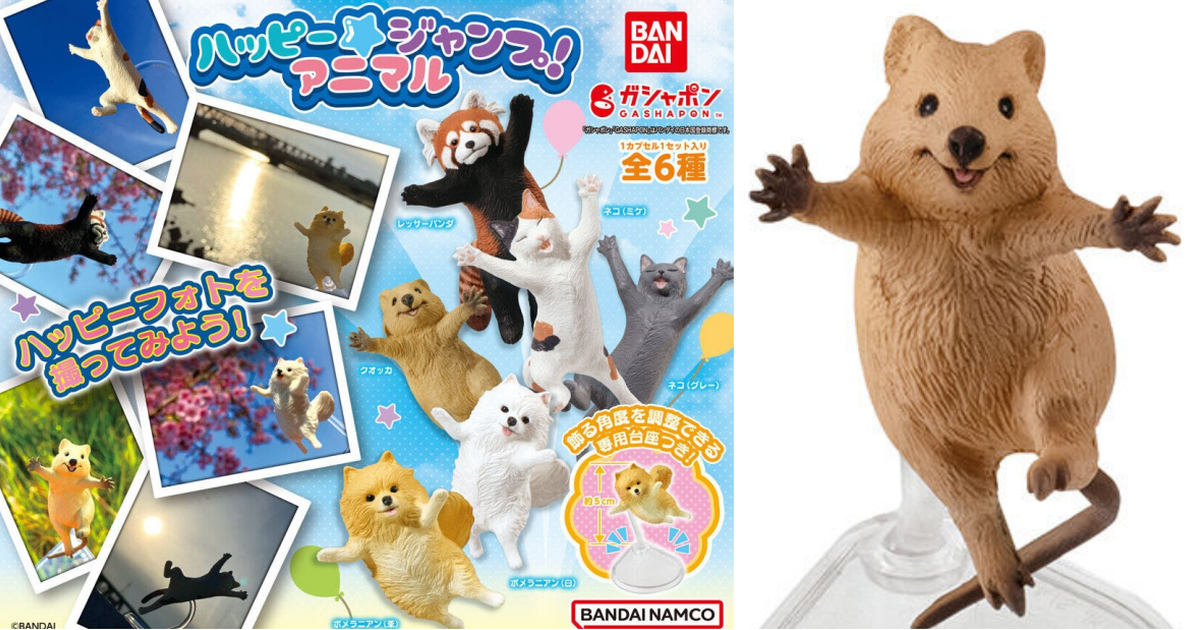 GASHAPON『HAPPY★JUMP！動物』轉蛋 跳高高的短尾矮袋鼠、博美狗勾 太適合拍照啦！