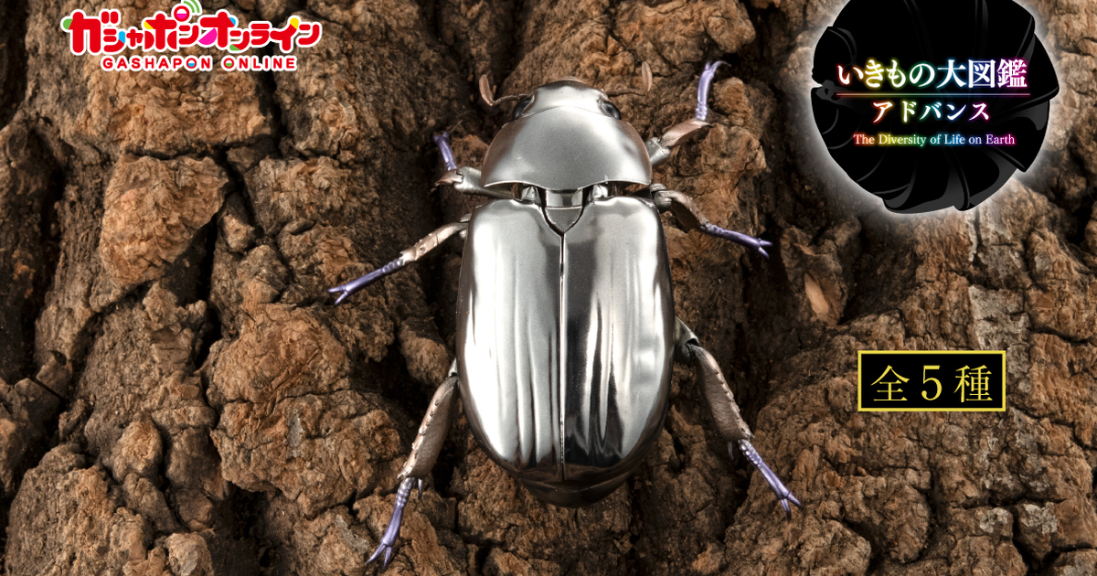 萬代『生物大圖鑑Ultimate 白金甲蟲與彩虹鍬形蟲 展示架套組』轉蛋 徹底再現閃閃發亮的金屬光澤！