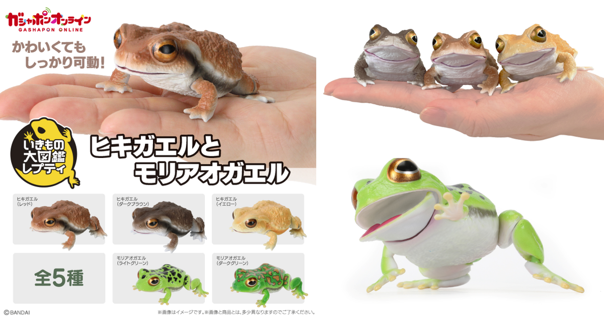 萬代『生物大圖鑑Repti 日本蟾蜍與莫里亞樹蛙』轉蛋 可愛的大眼與皮膚疣粒逼真還原！