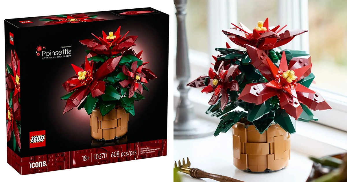 LEGO 10370 Icons 系列花藝收藏「聖誕紅」（Poinsettia）公開