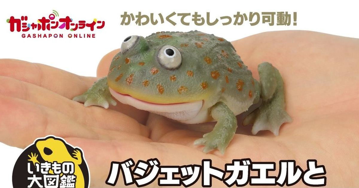萬代『生物大圖鑑Repti 圓眼珍珠蛙＆角蛙』轉蛋 爆笑的小丑蛙、新配色角蛙可愛登場！