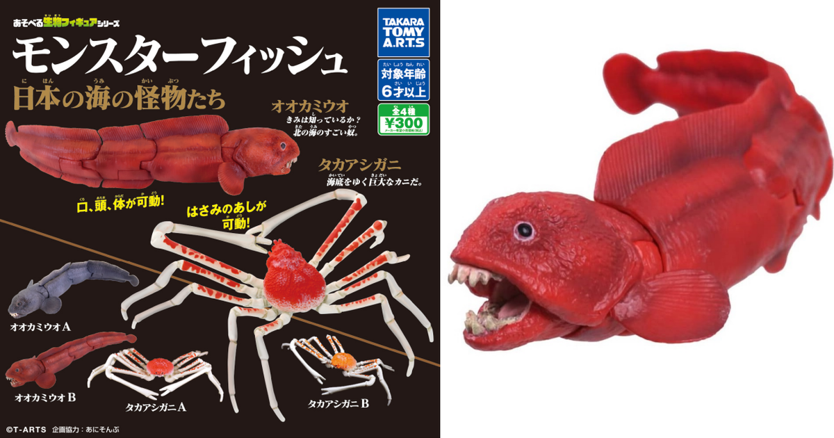 T-ARTS遊玩生物系列『怪獸魚 日本的海底怪物們』可動轉蛋 東方狼魚、甘氏巨螯蟹 大魄力立體化！
