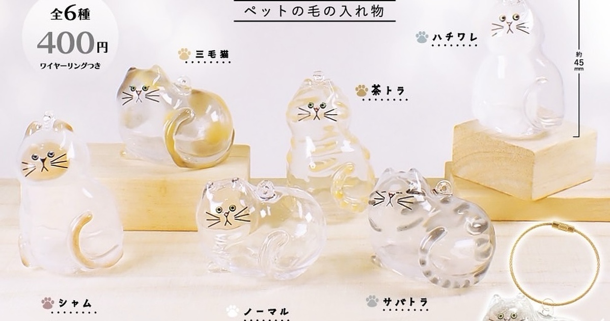 BRIGHT LINK『我們家孩子的 KEDAMADAMA 寵物毛髮專用小容器』轉蛋，可以塞入自家毛孩毛髮的超可愛透明貓貓轉蛋化！