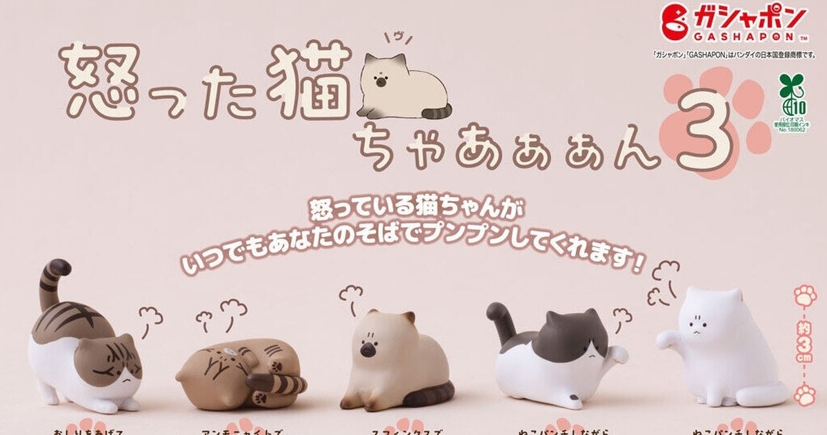 GASHAPON『生氣的貓咪咪咪咪３』轉蛋，氣到咪咪貓貓的超可愛卯咪人氣第三彈登場！
