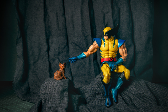 [玩具攝影] MAFEX 6吋 金鋼狼 羅根先生人像攝影練習