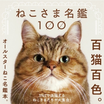 光看就快被萌死的貓奴聖經！《100隻貓咪圖鑑》日本Instagram、Twitter的網路「貓明星」通通都在這本書裡