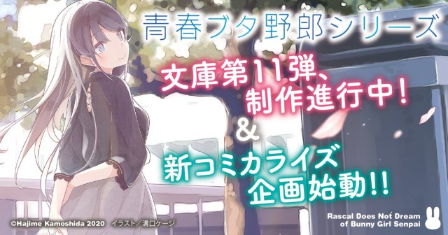 《青春豬頭少年》大學篇章公開   文庫11卷視覺圖大滿足!!