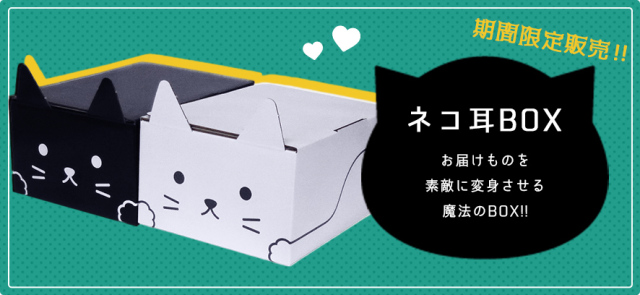 您的貨物送到了喵！大和運輸出品可愛貓咪造型紙箱「貓耳BOX」開放網路購買
