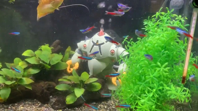 水陸兩用鋼普拉！？推主改造《機動戰士鋼彈》登場機體「索克」，讓鋼普拉變成水族箱過濾器！？