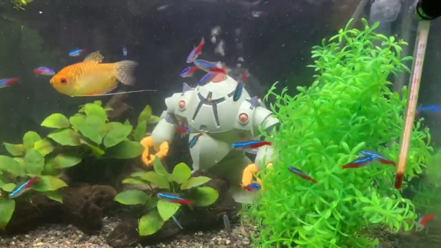 水陸兩用鋼普拉！？推主改造《機動戰士鋼彈》登場機體「索克」，讓鋼普拉變成水族箱過濾器！？