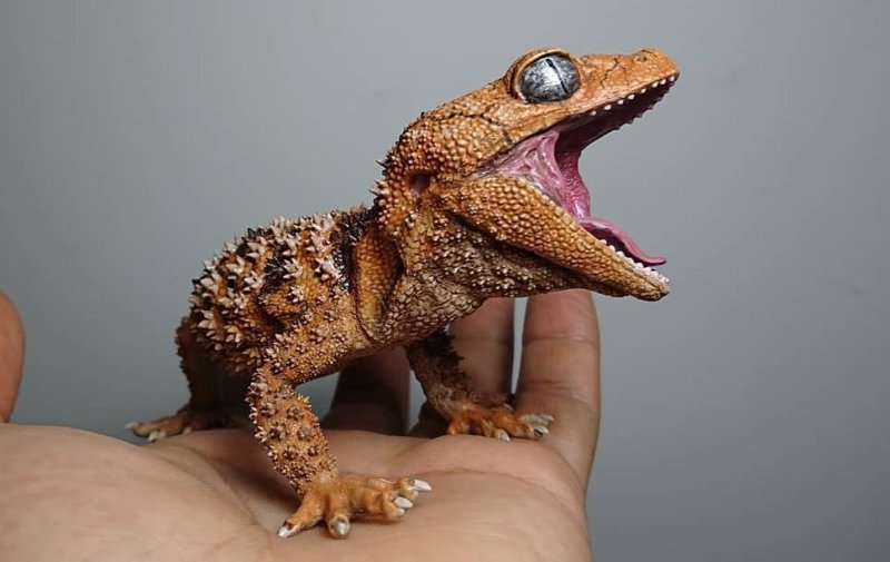 SO-TA 擬真生物第三彈「1/1 鬼玉尾守宮 ＆ 犰狳蜥」轉蛋 精緻再現棘皮細節與防禦姿態！